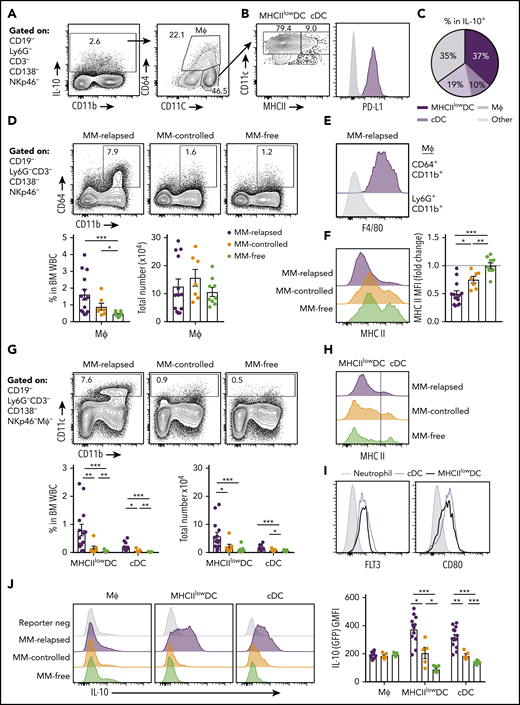 CD11chiMHCIIlowDCs are the major source of myeloid-derived IL-10 in the BM of MM-relapsed mice. MM-bearing and naive (MM-free) recipients were transplanted as previously described with BM+T grafts from FoxP3-RFP × IL-10-GFP reporter donors. Recipients were sacrificed 8 weeks after SCT, BM and spleen were harvested, and cells were analyzed using flow cytometry. FACS plots are representative. (A) Gating strategy for IL-10–producing myeloid cells. (B) Expression of MHC class II (MHC II) and PD-L1 on CD11chiCD64− DCs. (C) Frequency of MHCIIlow/− DCs, cDCs and macrophages (CD64+CD11b+) within IL-10+ cells from the BM of MM-relapsed mice (n = 10 combined from 2 experiments). (D) Gating strategy and quantification of frequency and number of macrophages from the BM of MM-relapsed, MM-controlled, and MM-free mice and (E) F4/80 expression on BM macrophages and neutrophils (negative control) from MM-relapsed mice and (F) MHC II expression on BM macrophages from MM-relapsed, MM-controlled, and MM-free mice (n = 7-14 combined from 2 experiments). (G) Gating strategy and quantification of frequency and number and (H) histogram of MHC II expression on MHCIIlow/− DCs and cDCs from the BM of MM-relapsed, MM-controlled, and MM-free mice (n = 7-14 combined from 2 experiments). (I) FLT3 (n = 4 from 1 experiment) and CD80 (n = 7 combined from 2 experiments) expression on MHCIIlow/− DCs and cDCs from BM of MM-bearing mice. (J) Representative histograms of IL-10 production and geometric mean fluorescence intensity from macrophages, MHCIIlow/− DCs, and cDCs from the BM of MM-relapsed, MM-controlled, and MM-free mice (n = 5-13 combined from 2 experiments). Data represent mean ± SEM. * P < .05, ** P < .01, *** P < .001 (Mann-Whitney U test). MΦ, macrophage; WBC, white blood cell.