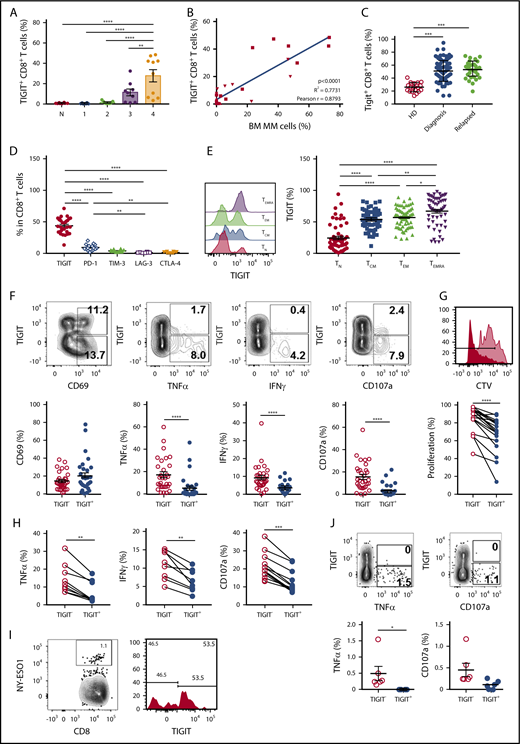 Figure 1. TIGIT expression on CD8+ T cells increases during MM development and is associated with decreased effector cell functions. (A) TIGIT expression on BM CD8+ T cells was analyzed by flow cytometry in naïve C57BL/6 WT mice (N) and 1, 2, 3, and 4 weeks after IV challenge with 2 × 106 Vk12653 MM cells. Data are presented as mean ± standard error of the mean (SEM) of 2 pooled experiments with n = 6 to 14 mice per group. (B) Percentages of BM TIGIT+CD8+ T cells from Vk12653-MM–challenged mice shown in panel A were plotted against percentages of BM MM cells in these mice. (C) Graphs showing the mean ± standard deviation percentage of TIGIT+ CD8+ T cells in BM CD8+ T cells from healthy donors (HDs) (n = 20) and MM patients at diagnosis (n = 86) or after relapse (n = 32). (D) The expression of immune checkpoints was analyzed on MM patient BM CD8+ T cells by flow cytometry. Graphs show mean ± SEM from n = 16 to 26 patients with MM. (E) Representative histogram showing the expression of TIGIT on MM patient BM CD8+ T-cell subsets TN (CD62L+CD45RA+), TCM (CD62L+CD45RA−), TEM (CD62L−CD45RA−), and TEMRA (CD62L−CD45RA+) and graph recapitulating the percentage of TIGIT+ cells shown as mean ± SEM from n = 59 MM patients. (F) MM patient CD138− BM cells were stimulated with anti-CD3/CD28/CD2 microbeads for 6 hours. Activation (CD69), intracellular TNF-α, and IFN-γ content and degranulation (CD107a) of TIGIT− and TIGIT+ CD8+ T cells was determined by flow cytometry. Representative dot plots are shown as well as graphs displaying mean ± SEM from n = 31 patients with MM. (G) MM patient CD138− BM cells were stained with CTV and stimulated with anti-CD3/CD28/CD2 microbeads for 5 days. Representative histogram showing the proliferation of TIGIT− (dark red) and TIGIT+ (light red) CD8+ T cells and graph recapitulating the percentage of divided TIGIT− and TIGIT+ CD8+ T cells from the same culture (n = 20 MM patients). (H) TIGIT− and TIGIT+ CD8+ T cells were sorted by flow cytometry and stimulated with anti-CD3/CD28/CD2 microbeads for 6 hours. TNF-α and IFN-γ production as well as degranulation were determined by flow cytometry. Data shown are from n = 8 to 12 MM patients. (I) Representative dot plot of CD8+ BM T cells from HLA-A*02+ patients with MM stained with HLA-A*02-NYESO1-PE multimers (left) and histogram showing the TIGIT expression in NY-ESO1–specific CD8+ T cells (right). (J) MM patient CD138− BM cells were stimulated with HLA-A*02-NY-ESO-1–specific peptide (1 μg/mL) for 6 hours. Representative dot plots as well as pooled data from n = 6 HLA-A2+ MM patients with positive NY-ESO response are shown. Statistical differences between multiple groups were determined by (A,D-E) 1-way analysis of variance (ANOVA) with Tukey posttest analysis, (B) correlations were assessed using a Pearson rank correlation test, and (C) analyses between 2 groups were performed using a Mann-Whitney U test or (F-H,J) Wilcoxon matched-pairs signed rank test. *P < .05, **P < .01, ***P < .001, ****P < .0001. TCM, central memory; TEM, effector memory; TEMRA, terminal effector memory; TN, naïve.