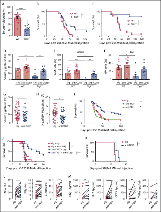 Figure 2. TIGIT blockade improves MM patient CD8+ T-cell effector functions and protects mice against MM. (A-B) C57BL/6 WT and Tigit−/− mice were challenged IV with 2 × 106 Vk12653 MM cells. M-protein levels were determined (A) by serum electrophoresis at week 6 post-MM cell injection; (B) survival was monitored overtime. Data are pooled from 2 independent experiments with n = 17 to 19 mice per group. (C) C57BL/6 WT and Tigit−/− mice were challenged IV with 4 × 105 Vk12598 MM cells and monitored for survival. Data shown are from 1 experiment representative of 2, with n = 10 to 12 mice per group. (D-F) C57BL/6 WT and Tigit−/− mice were challenged IV with 1.6 × 106 Vk12653 cells on day 0 and treated with anti-CD8β mAbs or cIg (100 μg, IP) on days −1, 0, 7, 14, 21, and 28. At week 4 after MM inoculation, M-protein levels were determined by serum electrophoresis and myeloma burden in (E) spleen and (F) BM was determined by flow cytometry by gating on B220−CD138+CD155+ MM cells. Data are from 1 experiment with n = 10 mice per group. (G,H) C57BL/6 WT mice were challenged with 1.5 × 106 (triangles) or 2.0 × 106 (circles) Vk12653 MM cells, treated with anti-TIGIT mAbs or cIg (200 μg, IP) twice per week for 4 weeks. Graphs showing the (G) serum γ-globulin levels and (H) number of BM MM cells. Data are presented from 3 independent experiments with n = 29 per group. (I-J) C57BL/6 WT were challenged with 4 × 105 Vk12598 MM cells, treated with anti-TIGIT mAbs, anti-PD-1 mAbs, or cIg (200 μg, IP) twice per week for 4 weeks and monitored for survival. (I) Data are pooled from 3 independent experiments with n = 19 to 30 mice per group. (J) Mice were treated with anti-CD8β mAbs or cIg (100 μg) days −1, 0, 7, 14, 21, and 28 (n = 11 to 12 per group). (K) C57BL/KaLwRijHsd mice (n = 5 per group) were challenged with 2 × 106 5TGM1 MM cells, treated with anti-TIGIT mAbs or cIg (200 μg, IP) twice per week for 4 weeks and monitored for survival. (L) MM patient CD138− BM cells were stimulated by anti-CD3/CD28/CD2 microbeads for 6 hours in the presence of anti-TIGIT mAbs (10 μg/mL) or cIg. Graphs showing the frequencies of TNFα-, IFNγ-, and CD107a-positive CD8+ T cells (n = 16 MM patients). (M) Graphs showing the concentrations of the indicated cytokines in the supernatants of purified MM patient BM CD8+ T cells stimulated by anti-CD3/CD28/CD2 microbeads for 24 hours in the presence of anti-TIGIT mAbs (10 μg/mL) or cIg (n = 11 patients with MM). (A,D-H) Data are presented as mean ± SEM, with each symbol representing an individual mouse. Statistical differences between multiple group were determined by 1-way ANOVA (D-F) with Tukey posttest analysis; differences between 2 groups were assessed using a (A) Mann-Whitney U, 2-way ANOVA (G-H), or (L-M) Wilcoxon matched-pairs signed rank test; (B-C,I-K) Differences in survival were determined by log-rank sum test. *P < .05; **P < .01, ***P < .001, ****P < .0001. cIg, control immunoglobulin; IP, intraperitoneal.