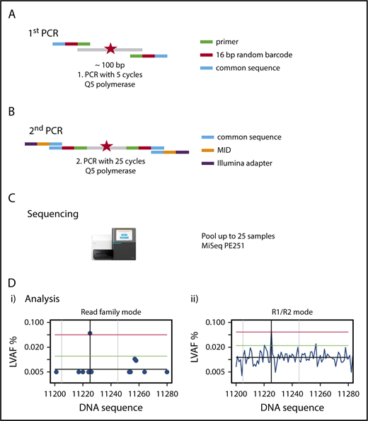Figure 1. Outline of amplicon-based NGS-MRD analysis. (A) Primers containing the complementary sequence (green), a 16–base pair (bp) random unique molecular identifier (red), and a so-called common sequence (blue) are designed around a known mutation (red star) covering a nucleotide sequence of 87 to 155 bp. The first PCR is run for 5 cycles, with primers detailed in the graph, and the product is cleaned up and size selected. (B) The second PCR is run for 25 cycles, with primers containing a complementary sequence to the common sequence (blue), the multiplex identifier (MID; orange), and the Illumina adapter (purple), and the product is cleaned up and size selected. (C) Up to 25 samples are pooled and run on a MiSeq sequencing instrument with 251 cycles in both directions. (D) Sequencing reads are demultiplexed by their MIDs, aligned to the target region, and error corrected by reconstructing read families using the random barcodes introduced in the first PCR and by constructing R1/R2 consensus sequences. The x-axis shows nucleotides around the mutated target region; the y-axis shows the variant allele frequency. The left graph (i) shows the graphical representation of the RF analysis. A blue dot shows the largest variant allele frequency (LVAF) at the respective nucleotide position. The black vertical line indicates the base position of the target mutation and in this example shows a mutation clearly above the background sequencing error. The gray vertical lines indicate ±20 bp up- and downstream of the target peak. The black horizontal line indicates the mean background error calculated from LVAFs. The green horizontal line indicates the background error +3 standard deviations of the background error (the target LVAF should be above this line). The red horizontal line indicates the LVAF of the target −3 standard deviations of the background error (no other peak should be above this line within ±20 bp of the target LVAF). The right graph (ii) shows the graphical representation of the R1/R2 corrected analysis. LVAFs are plotted for each nucleotide position. Vertical and horizontal lines are defined as in the left panel. PE, paired end.