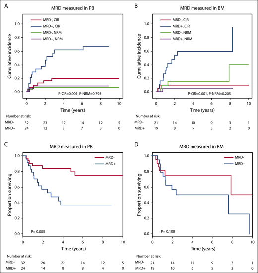 Figure 4. Prognostic effect of MRD on CIR, NRM, and OS if measured in peripheral blood (PB) or in bone marrow (BM). (A) CIR and NRM by competing risk analysis for MRD+ positive (n = 24) and MRD− patients (n = 32) in whom MRD was quantified in PB. (B) CIR and NRM by competing risk analysis for MRD+ (n = 19) and MRD− patients (n = 21) in whom MRD was quantified in BM. (C) OS for MRD+ (n = 24) and MRD− patients (n = 32) in whom MRD was quantified in PB. (D) OS for MRD+ (n = 19) and MRD− patients (n = 21) in whom MRD was quantified in BM.