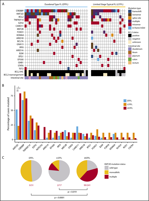 Figure 2. Targeted mutational landscape of DTFL and LSTFL. (A) Mutation plot for DTFL and LSTFL, depicting only genes that were mutated in at least 3 samples and captured by both bait sets. Mutation type and BCL2 status are color coded. BCL2 rearrangement refers to FISH testing. BCL2 IHC refers to immunohistochemistry. (B) Mutation frequencies of recurrently mutated genes in DTFL, LSTFL, and ASTFL cohorts. The bar plot shows mutation frequencies for all genes mutated in >10% of any of the 3 cohorts. *P < .05, **P < .01 for FDR-corrected Fisher’s exact test. (C) Fraction of cases with monoallelic or multiple KMT2D mutations in DTFL, LSTFL, and ASTFL cohorts. P values indicate result of Fisher’s exact test.