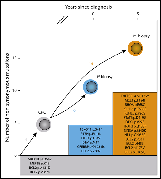 Figure 4. Divergent evolution of DTFL progressing to nodal FL. Mutations listed in the gray box indicate shared mutations defining a common precursor clone (CPC). Mutations in colored boxes indicate mutations found uniquely in each of the biopsies.