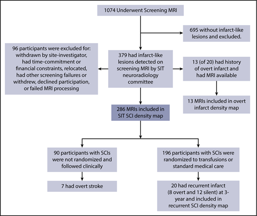 Figure 1. Participant screening and enrollment in the SIT Trial. Four density maps were created: (1) 286 children with SCA and no history of stroke who had SCIs adjudicated by the SIT neuroradiology committee after screening MRI; (2) 13 children with SCA and overt infarct who were excluded from the cohort of adjudicated SCIs; (3) baseline MRI; and (4) 3-year follow-up MRI from 20 children with SCA and no history of stroke who had SCIs adjudicated and who had recurrent overt or silent infarct by 3-year follow-up.