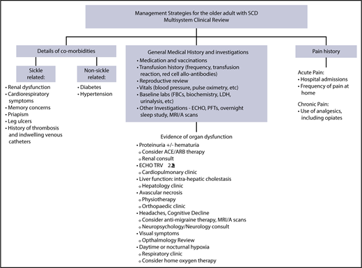Figure 3. Management strategies for the older adult with SCD. The overarching principle of care for adults with SCD is regular comprehensive review, sometimes known as the “annual review,” using the approach as outlined. During the review, aggregate supportive therapies hydroxycarbamide plus or minus EPO, blood transfusion, and iron chelation therapy, should be discussed and offered if appropriate. The comprehensive review is also an opportunity to provide patient information on new therapies and research studies such as stem cell gene therapy and transplantation.