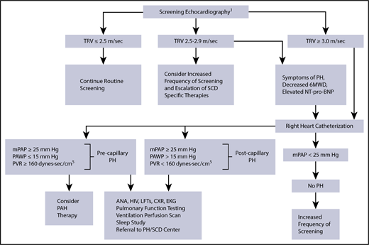 Figure 2. Proposed algorithm for evaluation of PH related to SCD. 6MWD, 6-minute walk distance; ANA, anti-nuclear antibody; CXR, chest radiograph; EKG, electrocardiogram; LFTs, liver function tests; mPAP, mean pulmonary artery pressure; NT-pro-BNP, N-terminal pro–brain natriuretic peptide; PAWP, pulmonary artery wedge pressure; PVR, pulmonary vascular resistance. 1The use of the term screening refers to mortality risk assessment. Echocardiography should be performed while patients are clinically stable. Patients with an mPAP between 20 and 25 mm Hg need further study, as they may be at increased mortality risk. PH therapy is to be considered on the basis of a weak recommendation and very-low-quality evidence. Reprinted from Klings et al,59 with permission.