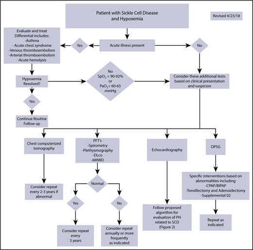 Figure 3. Proposed diagnostic workup algorithm for hypoxemia in patients with SCD. Proposed algorithm for evaluation of hypoxemia in patients with SCD and other hemoglobinopathies. BIPAP, bilevel positive airway pressure; CPAP, continuous positive airway pressure; OPSG, overnight polysomnogram. Echocardiography should be performed while the patient is clinically stable. All or some of the proposed studies may be obtained depending on the patient presentation and clinical suspicion for the underlying cause of hypoxemia.