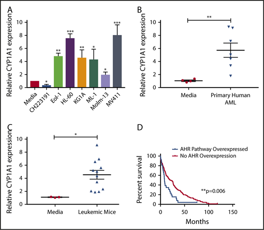 Figure 1. AHR Ligands are produced by AML cells lines and primary AML blasts. Conditioned media were harvested from AML cell lines (A), primary human AML blasts (B), or from murine leukemic cells (C) and used to treat HepG2 liver cells. RNA was isolated from HepG2 cells following 24-hour treatment, and CYP1A1 gene expression was evaluated by qPCR in each cohort as an indicator of AHR pathway activation. Data presented as expression relative to CYP1A1 expression in HepG2 cells treated with media only. A minimum of 2 independent experiments were conducted, representative figure depicted. (D) Kaplan-Meier overall survival curve comparing patients with higher mRNA expression of AHR-regulated genes (CYP1A1, CYP1A2, CYP1B1, UGT1A1, CYP2S1, and AHRR) relative to the mean expression in adult de novo AML. These data were generated through cBioPortal interface, based on data generated by The Cancer Genome Atlas Research Network. Student t test, *P < .05; **P < .01; ***P < .001. Error bars indicate standard deviation (SD).