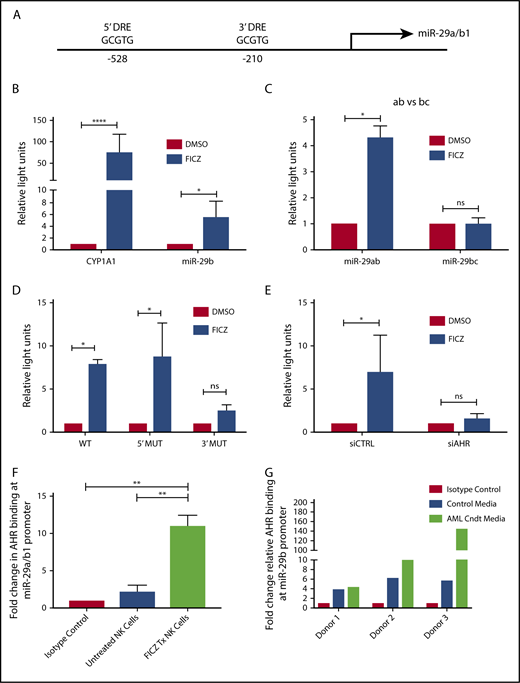 Figure 2. AHR regulates miR-29b. (A) Illustration depicting 2 predicted AHR-binding consensus sequences, also known as DREs, in the miR-29b promoter, highlighted in the red boxes. pGL3 luciferase reporter plasmids were cloned into HepG2 cells with seed sequence for either CYP1A1 (positive control) or miR-29b (B), miR-29a/b1 or miR-29b2/c (C), or miR-29b with the 5′ AHR site or the 3′ AHR binding site within the miR-29b promoter mutated (D). Each group was then treated with DMSO or FICZ (an AHR agonist). (E) pGL3 luciferase reporter plasmids were cloned into the miR-29b promoter in HepG2 cells, and AHR was knocked down in the same cells. The scrambled control (siCTRL) and the siAHR were treated with DMSO or FICZ and luciferase was measured. (F) CD56+/Lineage negative NK cells were isolated from PB and treated with vehicle DMSO vehicle control or FICZ. ChIP was performed with anti-AHR or isotype control antibody. The anti-AHR ChIP product was evaluated for miR-29b promoter expression in by qPCR to validate association between AHR and the miR-29b promoter. Data reported as expression relative to control. (G) Primary PB allogeneic NK cells were cultured with either media only or AML conditioned media, and miR-29b ChIP was performed similar to panel F. Minimum of 2 independent studies performed with representative figures depicted. *P < .05; ***P < .0001. Error bars indicate SD.