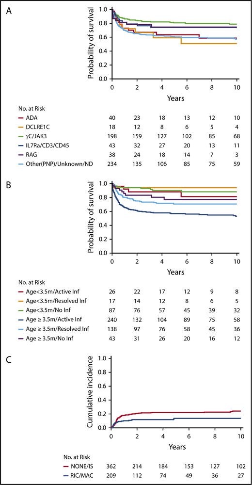 Figure 2. Survival in non-MSD patients. Survival in non-MSD patients according to genotype (P < .001) (A) and age and infection status at transplantation (P < .001) (B). (C) Cumulative probability of graft failure in non-MSD HCT, according to conditioning regimen (P = .025).