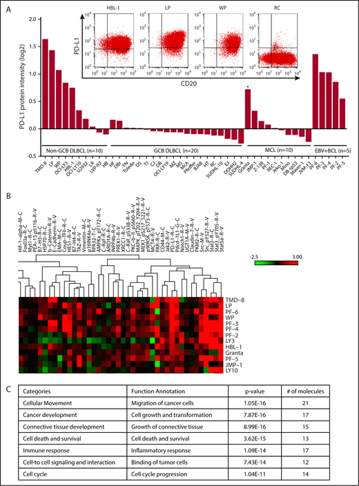 Figure 1. PD-L1 protein signature in B-cell lymphomas. (A) PD-L1 expression analyzed by RPPA analysis in 10 representative non-GCB DLBCL, 20 representative GCB DLBCL, 10 representative MCL, and 5 representative EBV+ B cell lymphoma (BCL) cell lines. Flow cytometry plots show coexpression of PD-L1 and CD20 in 3 representative non-GCB DLBCL cell lines (HBL-1, LP, and WP) and the RC GCB DLBCL cell line, which was used as a negative control for PD-L1 and positive control for CD20 (inset). *EBV+ MCL cell line. (B) RPPA heat map showing a cluster based on high PD-L1 expression level on all cell lines analyzed. (C) Proteins within the cluster and their known cellular functions, analyzed by ingenuity pathway analysis.