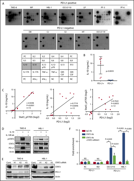Figure 2. PD-L1+lymphoma cells secrete IL-10 cytokine stimulating STAT3 activation. (A) Cytokine protein array was analyzed in 7 PD-L1+ cell lines and 5 PD-L1− cell lines. Arrows point to dot intensity of secreted IL-10. The table shows the cytokines included in this array. (B) Supernatants from the 12 cell lines in (A) were analyzed for IL-10 secretion using ELISA. (C) The Spearman correlation method was used to compare the protein expression levels of pSTAT3 and PD-L1 vs IL-10 secretion in 12 cell lines in (A). (D) TMD-8 and HBL-1 cells were treated with recombinant IL-10 (10 ng/mL) or IL-10 with IL-10R antibodies for 24 hours. Protein extracts were analyzed for pSTAT3, STAT3, PD-L1, and actin. (E) TMD-8 and HBL-1 cells were transiently transfected with control or predesigned and validated STAT3 siRNAs. At 48 hours after transfection, proteins purified from transfected cells were subjected to western blotting for STAT3, PD-L1, and actin (loading control). (F) PD-L1− DLBCL cell lines (RC and MZ) and PD-L1+ DLBCL cell lines (OCI-LY10 and HBL-1) were transiently transfected with a control siRNA or STAT3 siRNA. At 48 hours posttransfection, ChIP assays, followed by qPCR, were performed. Bar graphs show the results of qPCR of PD-L1 promoter region pulled down by the STAT3 antibody as fold enrichment relative to the background signals from the isotype-control immunoglobulin G antibody. NS, not statistically significant.