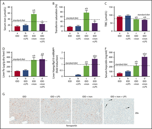 Figure 6. Hepcidin-induced ferroportin internalization and hypoferremic response to acute inflammation requires adequate liver iron. Eight-week-old male C57BL/6 mice (n = 24) were fed with an iron-deficient diet for 3 weeks. During the last night, half of the animals were provided a high-iron diet (2% carbonyl iron). On the next day, all mice (n = 6 for each group) were injected with either phosphate-buffered saline or 1 μg/g LPS and sacrificed after 4 hours. (A) Serum iron; (B) transferrin saturation; (C) TIBC; (D) liver iron content; (E) liver Hamp mRNA; (F) serum hepcidin. All data are presented as the mean plus or minus SEM. Dotted lines indicate average values obtained from age-matched male C57BL/6 mice (n = 3) on standard diet. Statistical analysis was performed by 1-way ANOVA. Statistically significant differences (P < .05) across treatments (vs columns a, b, c) are indicated by a, b, c. (G) Immunohistochemical staining of ferroportin in liver sections (original magnification ×20). Arrows indicate ferroportin internalization in Kupffer cells from LPS-treated mice that had overnight access to the high-iron diet.