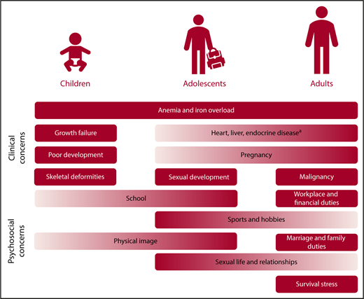 Figure 1. Management priorities across age groups in TDT. The listing reflects potential incidence of morbidities in respective age groups, but is not exclusive, and individual patients may have different needs. aIncludes diabetes mellitus, hypothyroidism, hypoparathyroidism, osteoporosis, hypogonadism.
