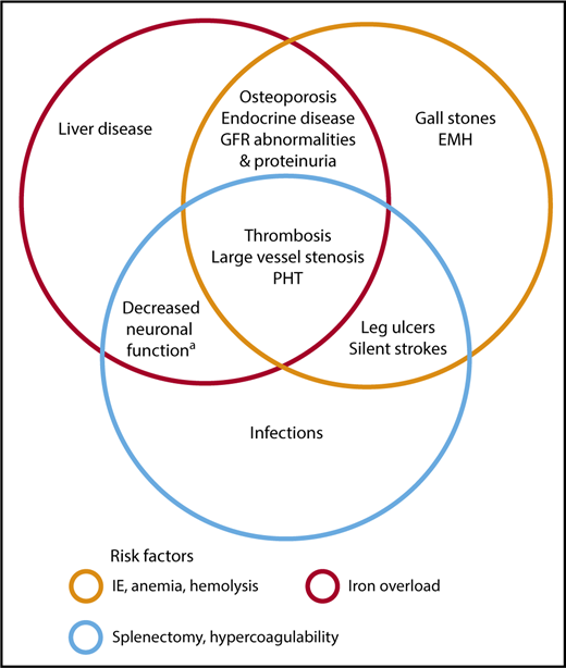 Figure 3. Morbidities and risk factors in patients with NTDT. Risk factors and pathophysiologic mechanisms as Venn diagrams within which notable morbidities associated with them are included. Some morbidities are attributed to >1 risk factor. These associations are mostly based on data from observational studies. aAs evident on fluorodeoxyglucose positron emission tomography–computed tomography (PET-CT). EMH, extramedullary hematopoietic pseudotumors; GFR, glomerular filtration rate; IE, ineffective erythropoiesis, PHT, pulmonary hypertension.