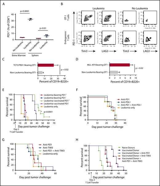 Figure 4. PD1 expression induced by progressive ALL is partially TCR independent and does not define functional impairment, nor does blockade of inhibitory receptors prevent or reverse dysfunction. (A) CD8+ T cells from the bone marrow and spleens of OT1/RAG−/− TCR transgenic mice were analyzed by flow cytometry for PD1 expression 10 days after injection of 1 × 105 TCF3/PBX1.3 challenge. (P < .01, unpaired Student t test). (B) Representative zebra plots of mice represented in panel A. (C) CD8+ T cells from the bone marrow and spleens of OT1/RAG−/− TCR transgenic mice harvested and enriched using a T-cell selection column 14 days after injection with TCF3/E2aPBX1.3 and transferred into secondary recipients (1 × 106/recipient) 2 days after injection with ovalbumin-transduced TCF3/E2aPBX1.3. Fourteen days later, bone marrow analyzed by flow cytometry for ovalbumin-expressing CD19+ B220+ cells. (D) Experimental design as in panel D with the exception that OT1 donors were irradiated (250 cGy) and injected with MLL-AF4 and T cells were harvested 21 days later. Non–leukemia-bearing donors also received irradiation. (E) Leukemia-bearing mice were given a subcurative dose (1 × 106) of sorted PD1+ or PD1− T cells from mice bearing leukemia or vaccinated with irradiated TCF3/PBX1.3. RAG1 mice received 105 TCF3/PBX1.3 on day 0 and adoptive transfer of T cells on day 2. (F) Anti-PD1 (200 µg/dose) and/or anti-PDL1 (200 µg /dose) was administered intraperitoneally every 3 days beginning 1 day after 105 TCF3/PBX1.3 challenge. (G) Anti-TIM3 (250 μg/dose) and/or anti-PD1 was administered as in panel D. (H) Splenic CD8+ T cells were collected from irradiated TCF3/PBX1.3 vaccinated mice (as in Figure 3G) and administered with or without PD1 and/or TIM3 blockade. Antibody administration was initiated 1 day prior to T-cell transfer and continued for up to 5 weeks (P < .0001, Mantel-Cox test).