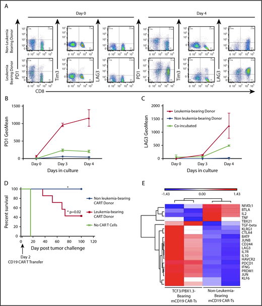 Figure 6. CARTs derived from leukemia-bearing donors remain dysfunctional following in vitro activation, expansion and transduction. (A) Splenocytes from mice were enriched for CD3+ cells, which were used to generate mCD19 CARTs as described in methods. Representative dot plots showing PD1, Tim3, and LAG3 expression on after 4 days in culture. (B-C) Geometric mean of PD1 expression (B) and TIM3 expression (C) on mCD19 CAR-expressing T cells generated from healthy and leukemia-bearing donors. P < .05 at day 4 (Mann-Whitney U test). (D) C57BL/6 mice received 500 cGy radiation followed by tumor challenge with 105 TCF3/PBX1.3. CARTs or mock (GFP+) T cells were generated from healthy and leukemia-bearing donors. CARs were administered IV at a dose of 3 × 105 CARTs 3 days after tumor challenge, 500 cGy irradiation on day 3. Mock CAR provided no survival benefit compared with untreated mice, but mCD19 CAR resulted in 100% survival (P = .02, Mantel-Cox test). (E) Microarray was performed on mCD19 CARTs generated as in panel A on day 5 of culture. Heat map of representative gene expression associated with TCR signaling and T cell exhaustion is shown.