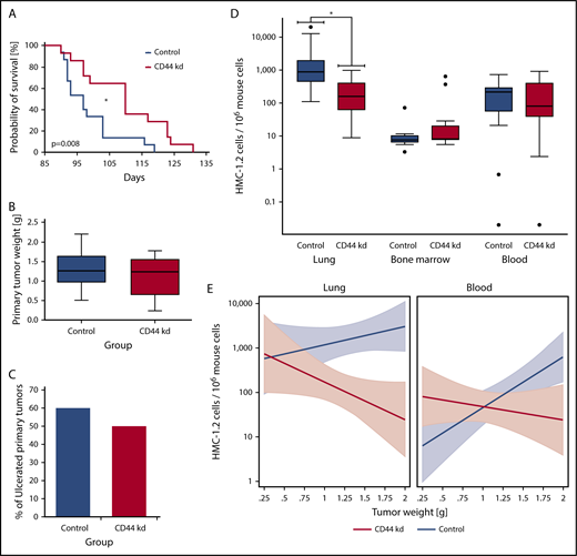 Figure 6. CD44 knockdown leads to prolonged OS as well as reduced metastasis formation in SCID mice. After lentiviral transduction with CD44 or control shRNA, HMC-1.2 cells were injected subcutaneously into 15 SCID mice per group. (A) Kaplan-Meier survival analysis for the CD44-knockdown (CD44 kd; red curve) and control (Co; blue curve) groups was performed. Median survival was significantly different between groups (CD44 knockdown, 110 days; control, 97 days; *P < .05, log-rank test). (B) Primary tumor weight in mice receiving HMC-1.2 CD44-knockdown cells (red box) compared with mice injected with control HMC-1.2 cells (Co; blue box) was slightly reduced (P > .05, Mann-Whitney U test). Results are shown as boxplots (Tukey) with median (black line), 25th to 75th percentile (boxes), and ranges without outliers (whiskers). (C) Bars represent the percentage of ulcerated primary tumors in mice receiving HMC-1.2 CD44-knockdown cells (red bar) compared with mice injected with control HMC-1.2 cells (Co; blue bar). CD44 knockdown did not significantly change the ulceration rate in these experiments (P > .05, Fisher exact test). (D) For control (blue boxes) and CD44-knockdown (red boxes) mice, the estimated numbers of observed MCs (human HMC-1.2 cells) per 106 murine cells, determined by human Alu-sequence–specific qPCR in lung, BM, and blood, are shown as logarithmic boxplots (Tukey) with median (black line), 25th to 75th percentile (boxes), ranges (whiskers), and outliers (black dots). As visible, metastatic lung infiltration by disseminated human HMC-1.2 cells transduced with CD44 shRNA was significantly lower compared with controls (CD44 knockdown: median, 142.6; mean ± SD, 238.0 ± 292.9; control: median, 877.5; mean ± SD, 3550 ± 5933). *P < .05 (Mann-Whitney U test). Median number of circulating CD44-depleted HMC-1.2 cells in the animals’ blood was slightly lower compared with control HMC-1.2 cells (CD44 knockdown: median, 81.6; mean ± SD, 224.4 ± 268.5; control: median, 215.1; mean ± SD, 216.1 ± 200.4) (P > .05, Mann-Whitney U test). A similar trend could not be observed in the BM. (E) In a linear prediction model, the numbers of observed disseminated MCs (human HMC-1.2 cells) per 106 murine cells in the lungs (left) and blood (right) in the CD44-knockdown (red curves) and control (blue curves) groups with 95% confidence intervals (colored areas) were related to the primary tumor weight. Interestingly, the slopes of the corresponding regression lines were significantly different (P < .05) when comparing the CD44-knockdown (red curves) and control (blue curves) groups.