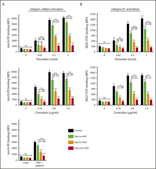 Figure 2. RAP1A and RAP1B contribute to platelet integrin activation. Flow cytometric analysis of integrin αIIbβ3 activation (binding of Jon/A-PE; clone Leo.H4; Emfret Analytics) (A) and integrin β1 activation (binding of 9EG7–fluorescein isothiocyanate; BD Biosciences) (B) in response to increasing concentrations of thrombin, the GPVI-agonist convulxin, or the combination of ADP and the TxA2 analog U46619. Data shown are mean fluorescence intensity (MFI) ± SEM of control (Rap1afl/flRap1bfl/flPf4-Cre−), Rap1a-mKO (Rap1afl/flRap1bwt/wtPf4-Cre+), Rap1b-mKO (Rap1awt/wtRap1bfl/flPf4-Cre+), and Rap1a/b-mKO (Rap1afl/flRap1bfl/flPf4-Cre+) platelets (n = 6). *P < .05, **P < .01, ***P < .001. ns, not significant.