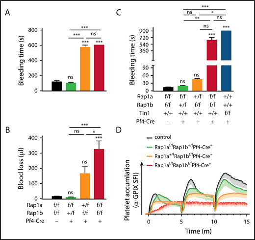 Figure 6. Platelet RAP1 signaling is critical for hemostasis at sites of injury. Determination of hemostasis using tail clip (A-B) or saphenous vein laser injury (C-D) model in control (Rap1afl/flRap1bfl/flPf4-Cre−; black bars; black line), Rap1afl/flRap1b+/flPf4-Cre+ (green bars; green line), Rap1a+/flRap1bfl/flPf4-Cre+ (orange bars; orange line), and Rap1a/b-mKO (Rap1afl/flRap1bfl/flPf4-Cre+; red bars; red line) mice. Tail bleeding time (A) and blood loss volume (B) were determined following tail clipping. (C) Repeated laser injuries were made to the saphenous vein using an Ablate! photoablation system equipped with an attenuable 532-nm pulse laser (Intelligent Imaging Innovations, Denver, CO). Bleeding time was assessed as time (seconds) to stable hemostatic plug formation (no leakage of blood for >60 seconds) within the laser injury–induced vascular lesion. Talin1-mKO mice (Talin1fl/flPf4-Cre+; blue bar), which bleed for the entire observation period, are shown for comparison. (D) Platelet accumulation was recorded using a Zeiss Axio Examiner Z1 microscope (Intelligent Imaging Innovations) equipped with a 20×/1 numerical aperture water immersion objective lens and determined as sum fluorescence intensity (SFI) of GPIX-labeled platelets ± SEM at the site of injury over time; data were analyzed using SlideBook 5.0 software (Intelligent Imaging Innovations). *P < .05, **P < .01, ***P < .001. ns, not significant.