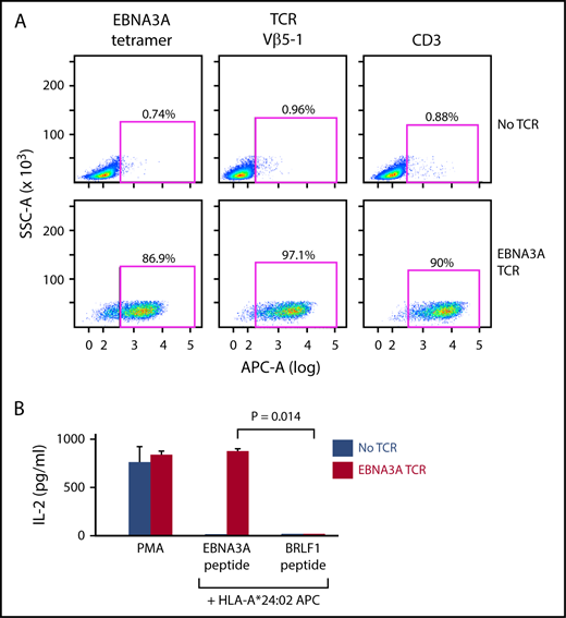 Figure 2. The EBNA3A-specific TCR can be matched to its cognate peptide. (A) The EBNA3A-specific TCR (supplemental Figure 1B-E) was cloned from the plasmid library, and expressed in Jurkat∆αβ reporter cells by lentiviral transduction. Expression of the TCR on the reporter cells was verified by staining with EBNA3A tetramer, anti-Vβ5-1, and anti-CD3 antibodies. (B) Specificity of the EBNA3A-specific TCR for cognate antigen was confirmed by detection of IL-2 secretion selectively after coculture of reporter cells with B721.221-A*24:02 cells presenting EBNA3A peptide compared with control HLA-A*24:02-restricted peptide BRLF1 (P = .014; 2-sample t-test with Welch’s correction from 2 technical replicates). Phorbol 12-myristate 13-acetate (PMA)/ionomycin stimulation was used as a positive control.