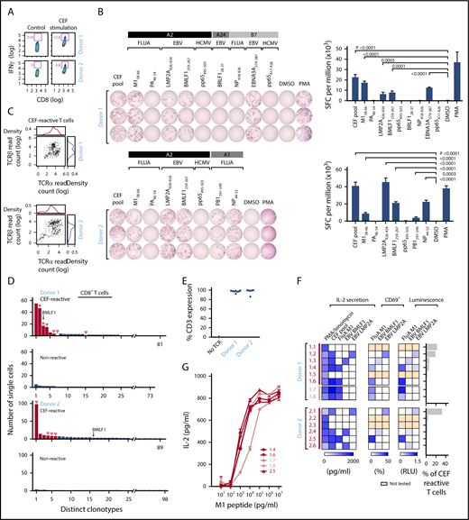 Figure 3. TCR sequences can be matched against pools of cognate viral peptides. (A) CEF-reactive CD8+ T cells were sorted by IFNγ secretion assay from 2 healthy donor (donor 1 and donor 2) PBMCs stimulated with the CEF peptides using flow cytometry. (B) Deconvolution of the reactivities of donor 1 and 2 PBMCs against individual peptides in the CEF pool using IFNγ ELISPOT. IFNγ secreting cells were quantified, as spot-forming cell (SFC) per million of CEF-reactive T cells (right; P values computed by comparison with dimethyl sulfoxide, using 1-sided 2-sample t-test of square root of spot counts). (C) Paired TCRα and TCRβ read counts from the sequencing of CEF-reactive single T cells. (D) Multiple paired TCRαβ sequences were enriched in CEF-reactive CD8+ T cells compared with nonreactive CD8+ T cells based on single-cell TCR sequencing (Red-selected for downstream cloning and expression; solid red bars, selected on the basis of prevalence; open red bars, selected based on TRBV usage; open triangles, TCRs for which antigen specificity was identified). A TCR with sequences identical to a BMLF1-specific TCR sequence previously reported in literature is indicated. (E) Dominant TCRs were expressed on Jurkat∆αβ reporter cells by lentiviral transduction, with stabilized expression of CD3 verified by flow cytometry. (F) Cognate antigens for CEF-reactive TCRs were determined by screening against individual peptides among the CEF peptide pool, with reactivity detected by IL-2 ELISA, CD69 staining, or luciferase assay. (G) Comparison of the functional avidity of FluA M1-specific TCRs identified from donors 1 and 2. EBV, Epstein-Barr virus; FluA, influenza A; HCMV, human cytomegalovirus.
