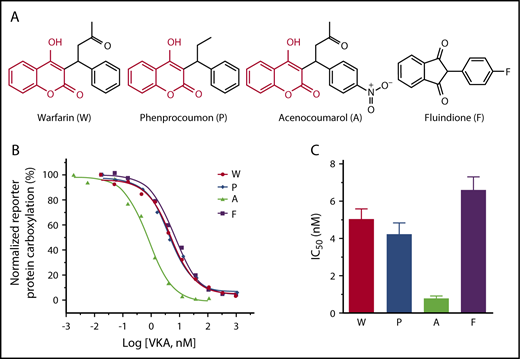 Figure 1. Inhibition of VKOR activity by clinically used VKAs. (A) Chemical structures of the oral anticoagulants warfarin, phenprocoumon, acenocoumarol, and fluindione. The identical chemical structures of 4-hydroxycoumarin in warfarin, phenprocoumon, and acenocoumarol are shown in red. (B) VKA concentration titration against VKOR activity in DGKO FIXgla-PC/HEK293 reporter cells. Wild-type VKOR was transiently expressed in the reporter cells; the transfected cells were incubated with 5 µM KO with increasing concentrations of VKAs. (C) Inhibition efficiency of VKAs on VKOR activity. The IC50 of each VKA was determined from panel B using GraphPad software. Data are presented as mean ± standard deviation (SD).