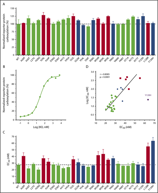 Figure 4. Effect of naturally occurring VKOR mutations on VKOR activity and KO binding. (A) Cell-based VKOR activity of all naturally occurring VKOR mutations. Each VKOR mutation was transiently expressed in DGKO FIXgla-PC/HEK293 reporter cells; the transfected cells were cultured with 5 µM KO for activity assay. Bar color codes are the same as in Figure 2. Wild-type VKOR activity is indicated by the dotted line. (B) KO concentration titration of wild-type VKOR transiently expressed in DGKO FIXgla-PC/HEK293 reporter cells. The EC50 of KO was determined by GraphPad software. (C) The EC50 of KO for all naturally occurring VKOR mutations. Data are presented as mean ± SD. Bar color codes are the same as Figure 2. The EC50 of the wild-type VKOR is indicated by the dotted line. (D) Correlation between IC50 of warfarin and EC50 of KO for naturally occurring VKOR mutations. Data for the Y139H mutant were excluded for the correlation calculation.