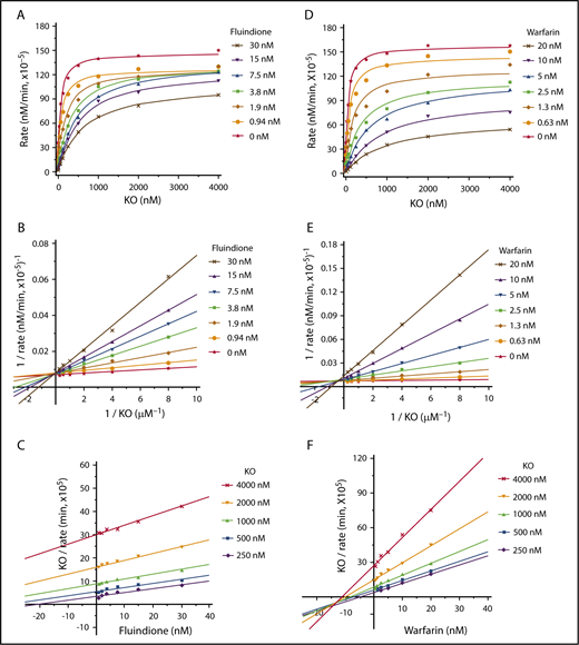 Figure 5. Cell-based kinetics study of the inhibition of VKOR by warfarin and fluindione. (A) Michaelis-Menten plot of VKOR activity as a function of KO concentration in the absence and presence of fluindione. FIXgla-PC/HEK293 reporter cells were cultured with increasing concentrations of KO containing 0, 0.94, 1.88, 3.75, 7.5, 15, and 30 nM fluindione for the activity assay. (B) Lineweaver-Burk plot of the experimental data of panel A. (C) Cornish-Bowden plot of the experimental data of panel A. (D) Michaelis-Menten plot of VKOR activity as a function of KO concentrations in the absence and presence of warfarin. FIXgla-PC/HEK293 reporter cells were cultured with increasing concentrations of KO containing 0, 0.62, 1.25, 2.5, 5, 10, and 20 nM warfarin for the activity assay. (E) Lineweaver-Burk plot of the experimental data of panel D. (F) Cornish-Bowden plot of the experimental data of panel D.