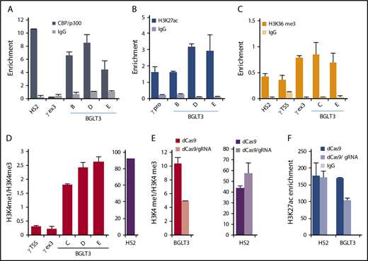 Figure 3. The BGLT3 locus is marked by chromatin signatures associated with enhancers. ChIP-qPCR for K562 cells with primers across BGLT3 using antibodies to CBP/p300 (A), H3K27ac (B), and H3K36me3 (C). (D) Ratio of the H3K4me1/H3K4me3 signal was determined from data obtained by ChIP-qPCR with antibodies to these modifications. Locations of BGLT3 primers are shown in Figure 1G; primer sequences are listed in supplemental Table 1; antibodies are listed in supplemental Table 2. (E) Ratio of the H3K4me1/H3K4me3 signal at BGLT3 or LCR HS2 was determined from data obtained by ChIP-qPCR with antibodies to these modifications using CRISPRi K562 cells targeted with (dCAS9/gRNA) or without (dCAS9) a specific gRNA. (F) ChIP-qPCR with primers for BGLT3 or LCR HS2 and antibodies to H3K27ac using CRISPRi K562 cells with (dCAS9/gRNA) or without (dCAS9) a specific gRNA. IgG, immunoglobulin G.