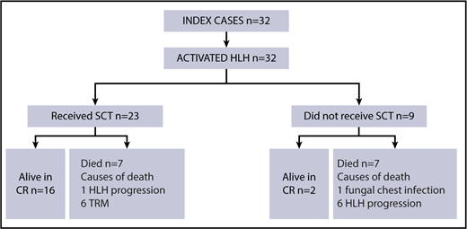 Figure 2. Diagram of treatment and outcome for ICs. SCT, stem cell transplantation.