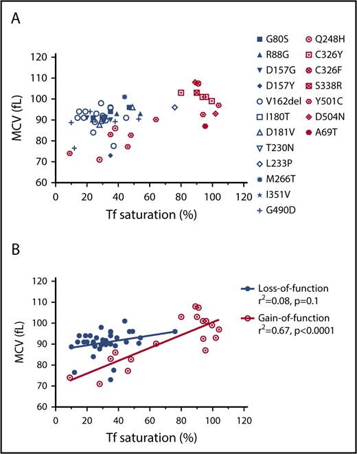 Figure 5. The correlation of the RBC MCV with serum transferrin saturation in patients with gain-of-function or loss-of-function FPN mutations. (A) MCV vs transferrin (Tf) saturation plot of FPN loss-of-function (blue) and gain-of-function (red) mutations. (B) Linear regression of MCV vs Tf saturation showed that the MCVs of gain-of-function mutations increased as serum Tf saturations increased, whereas MCVs of loss-of-function mutations did not. The MCV and Tf saturation data of patients were obtained from literature, and the mutations were classified as gain-of-function mutations or loss-of-function mutations based on reports also.10,36-40 Consistent with our hypothesis, these results suggest that erythroblasts with loss-of-function FPN mutations use retained intracellular iron to synthesize hemoglobin and were relatively insensitive to serum iron perturbations, leading to higher MCV values relative to low Tf saturations. By contrast, erythroblasts with gain-of-function mutations readily export iron out of cells and are sensitive to serum iron fluctuations.