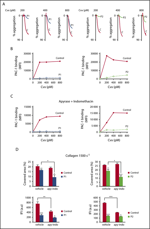 Figure 5. Platelet aggregation and αIIbβ3 activation induced by Cvx are altered in both patients. (A) Aggregation of washed platelets was initiated by increasing concentrations of Cvx (200-800 pM) for 3 minutes. Aggregation was expressed as the percentage change in light transmission, with the value of the blank (buffer without platelets) set at 100%. Tracings are representative of at least 2 experiments per patient. (B) Quantification of activated αIIbβ3 at the surface of washed platelets was assessed by flow cytometry by binding of the mAb PAC1 to control and P1 and P2 platelets upon activation with Cvx (200-800 pM). (C) The same experiment was conducted in the presence of apyrase (2 U/mL) and indomethacin (10 μM). Results are representative of 2 experiments for each patient. (D) Adherence and thrombus size were investigated on collagen matrix (50 μg/mL) in the presence or absence of apyrase (2 U/mL) and indomethacin (10 μM) at high shear rate (1500 s−1) after 3 minutes. Platelet adhesion was expressed as covered surface (%) and thrombus size as total integrated fluorescence intensity (IFI) from 2 experiments carried out in triplicate. Data are presented as the mean ± SEM and statistical differences were determined using 1-way analysis of variance followed by the Tukey multiple comparison test (*P < .05, **P < .01, ***P < .001). a.u, arbitrary units.