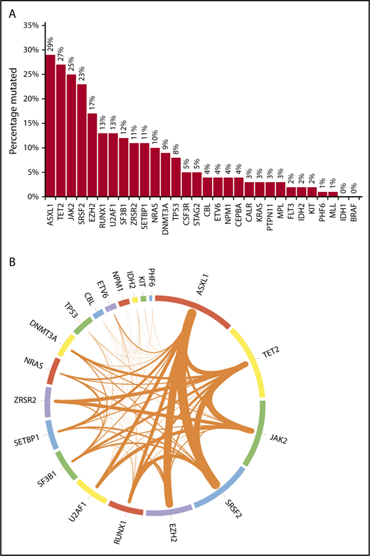 Figure 1. Bar chart and Circos plot of the results of targeted NGS in 102 patients with MDS/MPN-U. (A) Bar diagram showing the frequencies of selected gene mutations in the cohort of patients (see the third paragraph of text for the 20 genes sequenced in all patients). The other 10 genes of interest were sequenced in fewer patients, as follows: CALR in 58 (57%), MPL in 73 (72%), CEBPA in 78 (76%), KRAS in 86 (84%), BRAF and CSF3R in 57 (56%) each, FLT3 and PTPN11 in 87 (85%) each, and MLL and STAG2 in 77 (75%) each. One patient each had >1 mutation in ASXL1, CBL, SETBP1, U2AF1, and ZRSR2; 2 patients each had >1 mutation in DNMT3A, NRAS, and SF3B1; 3 had >1 mutation in EZH2; 4 had >1 mutation in TP53, and 5 had >1 mutation in TET2. (B) Circos plot depicting the mutational frequencies of the 20 genes tested in all 102 patients (length of the arcs), along with the frequencies of cooccurrence of different mutations in the same patient (width of the ribbons). The strongest relationships of cooccurrence were seen between ASXL1 and SRSF2 (n = 10), ASXL1 and EZH2 (n = 9), SRSF2 and TET2 (n = 8), TET2 and JAK2 (n = 8), and ASXL1 and TET2 (n = 7). Other readily evident patterns of comutation included ASXL1 with RUNX1 (n = 6), TET2 with ZRSR2 (n = 6), JAK2 with ZRSR2 (n = 6), TET2 with DNMT3A (n = 5), TET2 with SF3B1 (n = 5), and TET2 with RUNX1 (n = 5). Mutations in the signaling genes JAK2, CBL, and NRAS were mostly mutually exclusive. Only 1 patient each had JAK2/CBL and JAK2/NRAS comutation. CBL or NRAS mutations did not cooccur with CALR or MPL mutations. All JAK2 mutations were V617F and all CSF3R mutations T618I. All SRSF2 and IDH2 mutations involved the P95 and R140 residues, respectively. Most NRAS mutations affected G12 or G13, most SF3B1 mutations affected K700 or K666, and most U2AF1 mutations affected the Q157 residue.