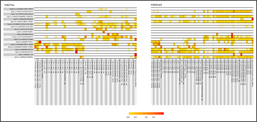 Figure 2. Heat map of SNP scores for H3K27Ac and H3K4me3 at each Hodgkin lymphoma risk locus. SNP score calculated as per Trynka et al.29 For each SNP at a given locus, the score represents the height of the closest ChIP-seq peak divided by the distance to the summit in each cell line, normalized across all immune cell types. Thus, a SNP within a chromatin mark that is active in only 1 cell type will have a high score of 1 (red) in that cell type and 0 (white) in others. In contrast, a SNP close to chromatin marks that are not cell-type-specific will have similarly modest scores across cell types. Genes at each risk locus are given for identification purposes only, and do not necessarily indicate biological functionality.