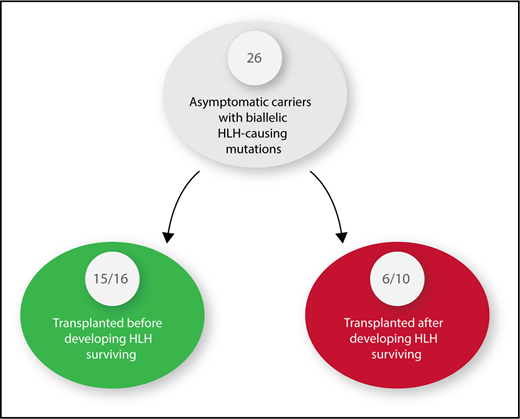 Twenty-six asymptomatic carriers of HLH-causing mutations were identified. Sixteen received hematopoietic stem cell transplants before developing HLH. Ten had to be treated for HLH and were then transplanted.