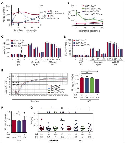 Figure 6. Rejuvenation rescues the functional defects of BAK/BAX-deficient platelets. (A) Platelet counts and percentage reticulated thiazole orange (TO) positive platelets postplatelet depletion by APS in wild-type mice. n = 4 (untreated) and n = 8 (APS treated) mice. (B) TO-positive platelets 24 to 96 hours after APS treatment. n = 3 to 6 mice per group and point. Data are presented as mean ± SD. (C-D) Platelet age was synchronized by APS-induced platelet depletion 72 hours before platelet harvest. Agonist-induced platelet activation determined by (C) JON/A or (D) P-selectin positive platelets by flow cytometry. Platelets were washed and counts adjusted before 20 minutes incubation with ADP 12.5 µM (37°C) Convulxin 12.5-50 ng/mL (RT) and PAR4-AP 0.06-0.5 mM (RT). n = 3 biological replicates per genotype. Data are presented as mean ± SD. (E) Maximal platelet aggregation in response to PAR4-AP (50 µM). Mice were depleted of platelets (APS) 72 hours before platelet purification. Platelets were washed and counts adjusted. Bak+/+ Bax+/+ (n = 5), Bak−/− Baxfl/fl (n = 6), Bak+/+ BaxPf4∆/Pf4∆ (n = 2), and Bak−/− BaxPf4∆/Pf4∆ (n = 5) mice. Representative experiment included. (F) ATP release after platelet aggregation in response to PAR4-AP (50 µM). Mice were depleted of platelets (APS) 72 hours before platelet purification. Platelets were washed and counts adjusted before agonist stimulation. ATP levels were determined in platelet supernatants by cell titer glo assay. n = 3 mice per genotype. Data are presented as mean ratio/wild-type (wt) ± SD. (G) Tail bleeding time into 37°C saline (3-mm tail amputation). Maximal time was set as 600 seconds. The bleeding time was determined as the time from the tail amputation to the moment the blood flow stopped for more than 1 minute. Mice were untreated or depleted of platelets (APS) 72 hours before assay. Each symbol represents an individual mouse. Data are presented as mean. Unpaired Student t test with 2-tailed P values. *P < .05; **P < .005; ***P < .001.