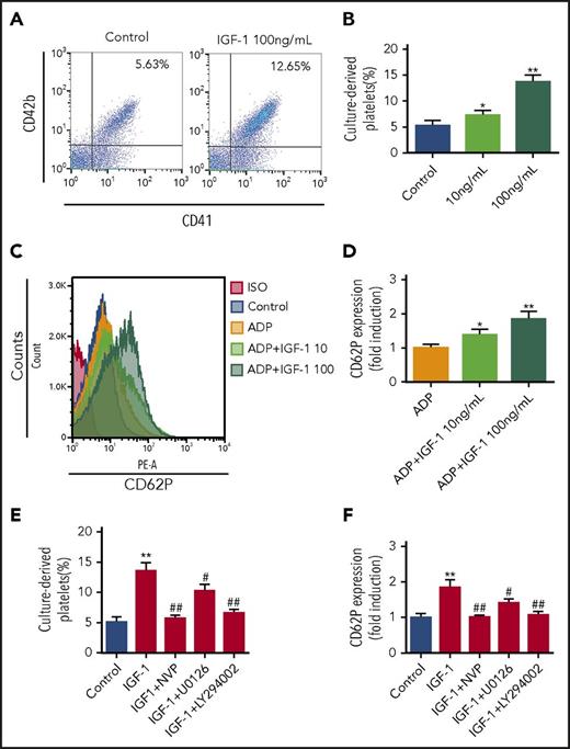 Figure 4. IGF-1 induces platelet production and augments platelet activation. (A-B) Flow cytometric analysis of platelet production from MKs induced by IGF-1. CD34+ cells were treated with rhTPO for 10 days followed by rhIGF-1 treatment of 4 days. (C-D) Flow cytometric analysis of the activation of culture-derived platelets. Platelets were stimulated with 10 or 100 ng/mL rhIGF-1 for 5 minutes before stimulation with 0.5 μM ADP for 5 minutes, and were then subjected to analysis after CD62p staining. (E) Platelet production from MKs in CD34+ cells cultured with 20 ng/mL rhTPO for 10 days and then treated with 100 ng/mL rhIGF-1 with or without 0.5 μM NVP-ADW742, 10 μM U0126 or 20 μM LY294002 for another 4 days. (F) Activation analysis of platelets. Culture-derived platelets were first pretreated with 0.5 μM NVP-ADW742, 10 μM U0126 or 20 μM LY294002 for 20 minutes and were then stimulated with rhIGF-1 for 5 minutes following stimulation with 0.5 μM ADP for 5 minutes. *P < .05, **P < .01, vs the control; #P < .05, ##P < .01, vs the IGF-1-treated group.