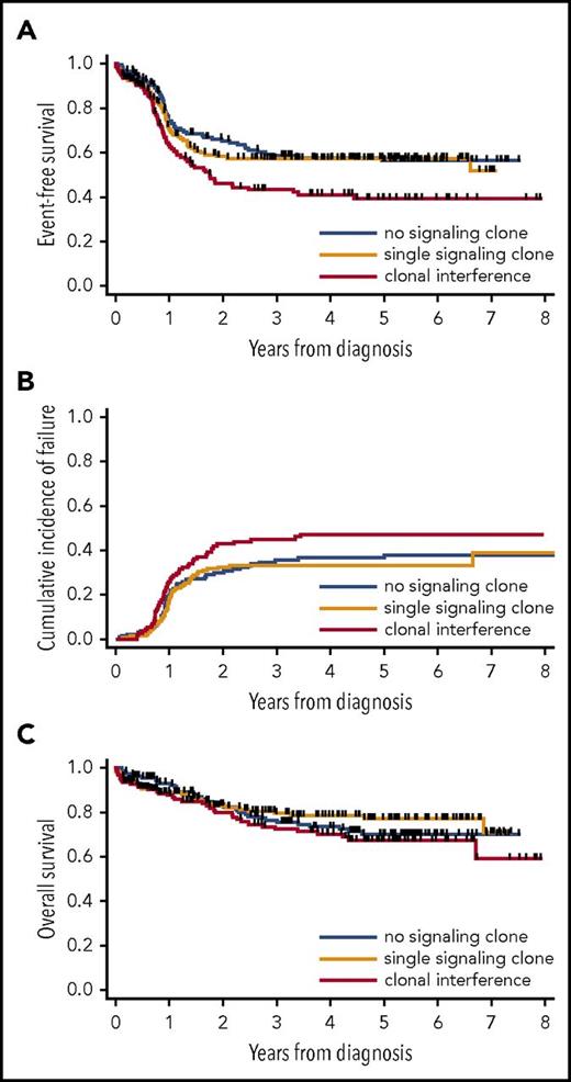Figure 2. Outcome of patients according to clonal interference of signaling mutations in CBF AML. EFS (A), CIF (B), and OS (C) in patients with no, a single, or multiple signaling clones. EFS and OS are censored at HSCT in first CR.