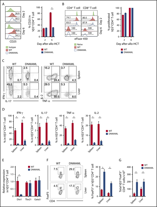 Figure 4. Notch signaling enhances proinflammatory functions of alloreactive T cells and suppresses the expansion of alloantigen-specific regulatory T cells after transplantation. BALB/c recipients were lethally irradiated (800 cGy) and transplanted with B10.D2-Thy1.2 TCD BM (107 cells) plus 12 × 106 B10.D2-Thy1.1 WT or B10.D2-DNMAML splenocytes (labeled with eFluor450 to allow for tracking of cell division). Tissues were retrieved for flow cytometric analysis of alloantigen-specific Vβ3+ T-cell populations. (A) CD25 expression in CD4+Vβ3+ T cells at days 2 and 6 after transplantation. *P < .01 (2-tailed unpaired Student t test). (B) eFluor450 dilution at days 2 and 6 posttransplant showing preserved early proliferation of DNMAML as compared with WT CD4+Vβ3+ T cells. (C-D) Flow cytometric analysis of cytokine production by WT vs Notch-deprived DNMAML CD4+Vβ3+ T cells isolated from spleen or liver at day 6 after allo-HCT (ex vivo anti-CD3/CD28 restimulation before staining for intracellular cytokines). Representative contour plots are shown in panel C and cumulative data in panel D. Numbers indicate the percentage of events falling within indicated rectangular gates. *P < .01 (2-tailed unpaired Student t test). (E) Notch inhibition in Vβ3+CD4+ T cells alters transcription of Notch targets but does not affect Th-lineage polarization. RNA was isolated; a complementary DNA library was generated from sort-purified Vβ3+CD4+ T cells on day 6 after allo-HCT and then subjected to quantitative reverse-transcription PCR. While Notch targets were depressed (Dtx1), canonical Th1 (Tbx21) and Th2 (Gata3) transcription factors remained unaffected. (F-G) Notch inhibition enhances expansion of Vβ3+CD4+FoxP3+ Tregs after allo-HCT. Data show expression of FoxP3 in Vβ3+CD4+ T cells 6 days after allo-HCT (F) and total Vβ3+ Tregs at that time point (G). *P < .01 (2-tailed unpaired Student t test). Data in panels A-F are representative of at least 2 experiments with 10 animals per cohort.