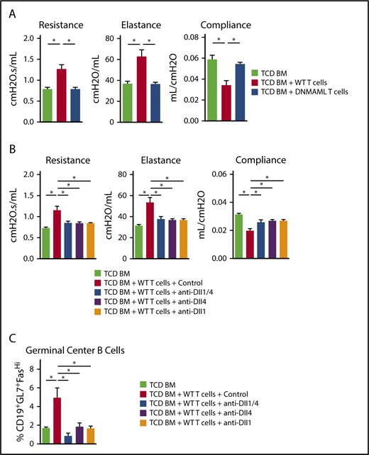 Figure 5. Notch signaling mediated by Dll1 and Dll4 is necessary for the development and persistence of BO-cGVHD. B10.BR recipients were conditioned with total body irradiation (8.3 Gy, day −1) and cyclophosphamide (120 mg/kg/day i.p., days −3 and −2) before transplantation with B6 WT TCD BM only (107 cells) vs TCD BM plus 80 × 103 B6 WT or B6-DNMAML T cells. (A) Pulmonary function testing (resistance, elastance, and compliance) was performed at day 56 after allo-HCT. Recipients of WT, but not DNMAML, T cells showed profound changes consistent with BO-cGVHD airway disease. *P < .05 (1-way ANOVA). (B) B10.BR recipients were transplanted as indicated above. After 4 weeks, systemic treatment was started with isotype control vs anti-Dll1, anti-Dll4, or a combination of anti-Dll1 and anti-Dll4 antibodies (5 mg/kg i.p. twice weekly, days 28-56). Pulmonary function tests were performed at day 56. *P < .05 for mice treated with isotype control antibodies (BO-cGVHD) vs mice receiving only TCD BM (GVHD-free control) and all groups receiving Notch ligand neutralizing antibodies. (C) Dll1 and/or Dll4 inhibition alters GC B-cell homeostasis, significantly decreasing the frequency of B cells with a GL7+Fashi GC B-cell phenotype in the spleen. *P < .05. Representative data from one of 2 experiments is shown with 8 animals per group.