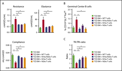Figure 6. Notch1 and Notch 2 receptors deliver nonredundant pathogenic signals in T cells during BO-cGVHD. B10.BR recipients were conditioned with irradiation and cyclophosphamide and transplanted with B6 WT TCD BM cells (107) supplemented with 80 × 103 B6 WT, Cd4-Cre × Notch1f/f (N1Ko), Cd4-Cre × Notch2f/f (N2Ko), and Cd4-Cre×Notch1f/fNotch2f/f (N1Ko/N2Ko) T cells. (A) Notch1 and Notch2 receptors are nonredundant in driving pathogenic Notch signaling in T cells to cause BO-cGVHD. Pulmonary function tests at day 49 showing preservation of pulmonary functions in mice receiving Notch1-deficient, Notch2-deficient, or Notch1/2-deficient vs WT T cells. *P < .05 (1-way ANOVA). (B-C) Notch1 and/or Notch2 loss in T cells decreases the accumulation of GC B-cell (B) and Tfh cell (C) posttransplant in spleens of recipient animals. Spleens were harvested on day 60 posttransplant and analyzed for GC B cells as well as Tfh and Tfr cells. The Tfr/Tfh ratio was calculated by dividing the percentages of respective subsets in parental populations. *P < .05 (1-way ANOVA).