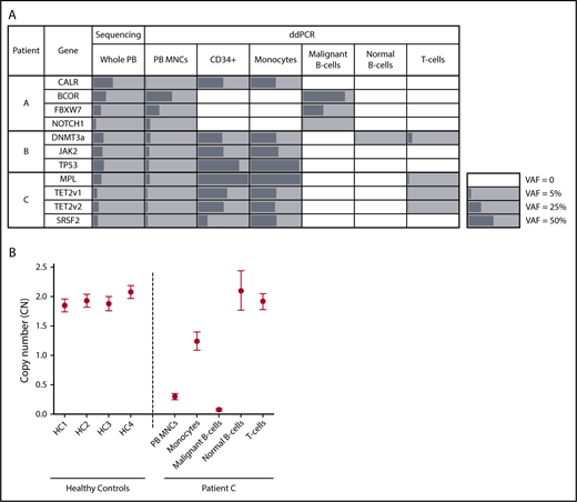Figure 1. Mutational and copy number (CN) analysis of sorted PB subpopulations in patients with concurrent MPN/LPD. (A) Allele frequencies (%) of patient-specific variants in whole PB, unsorted PB MNCs, and PB subpopulations as determined by targeted sequencing (whole PB) or ddPCR (unsorted MNCs and sorted fractions). Mutation-positive fractions are shaded in gray, with the length of the bars proportional to the VAF. White squares indicate populations where variants were not detected. TET2 v1 (TET2 variant 1) refers to the TET2 L446fs variant; TET2 v2 (TET2 variant 2) refers to the TET2 H1219R variant. In patient C, the MPL W515L VAF exceeded 99% in the CD34+/monocyte fractions, consistent with the known loss of heterozygosity of chromosome 1p in this patient. (B) CN at the chromosome 13q14 locus as determined by ddPCR in unsorted PB MNCs and PB subpopulations from patient C as well as PB MNCs from 4 healthy controls (HC). CN measurements are depicted by a circle, with error bars indicating the 95% confidence interval.
