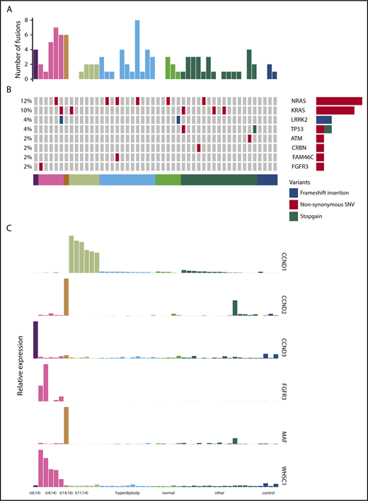 Figure 1. Fusion events, key SNVs, and translocation/cyclin D (TC) classification of PADIMAC data. Each column represents a single sample. Samples are arranged into and color coded by their TC classes (shown at the bottom). (A) Number of fusion events in each sample. (B) Key SNVs in each sample. (C) Expression of genes whose dysregulation is associated with TC classification in each sample.