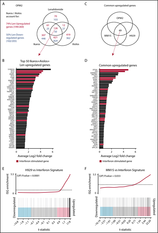 Figure 3. Investigating the transcriptional changes resulting from loss of Ikaros, Aiolos, or lenalidomide treatment. RNA sequencing (RNAseq) was performed in OPM2, MM1S, and H929 cells 72 hours after IKZF1 (IK20) gRNA induction vs EV control. In OPM2 cells RNAseq was also performed after IKZF3 (Ai35) gRNA induction with dox or treatment with 10 μM lenalidomide. A cutoff false-discovery rate of 0.15 and additional criteria of a fold change ≥1.5 and an RPKM (reads per kilobase of exon length per million mapped fragments) ≥1 were employed for calling of differentially expressed genes. (A) Venn diagram depicting overlap of differentially expressed genes after inactivation of Ikaros, Aiolos, or treatment with lenalidomide in OPM2 cells. Upregulated (Ikaros/Aiolos repressed) genes are in red, downregulated (Ikaros/Aiolos activated) genes are in blue. (B) Top 50 shared upregulated genes in OPM2 cells after loss of Ikaros, Aiolos, or lenalidomide treatment. ISGs are highlighted in red. (C) Venn diagram and (D) graph depicting overlap of common upregulated genes on deletion of Ikaros in OPM2, MM1S, and H929 cells. ISGs are highlighted in red. (E-F) Gene set enrichment analysis and barcode plot of differential gene expression in IK20 in (E) H929 and (F) MM1S cells after dox treatment (as in panel A), tested against a curated list of ISGs from published sources (list shown in supplemental Table 6).14,24,25 The differential gene expression data set is shown as a shaded rectangle with genes horizontally ranked by moderated t statistic. Genes upregulated upon Ikaros loss are shaded pink and downregulated genes shaded blue. The position of individual ISGs is marked on the plot by vertical black lines. P values for the gene set enrichment test are shown above.