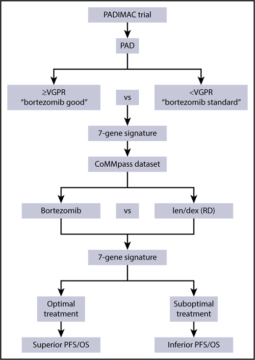 Overview of the process to generate and validate a RNA-seq gene signature to determine optimal treatment. CoMMpass, Clinical Outcomes in Multiple Myeloma to Personal Assessment of Genetic Profile; OS, overall survival; PAD, bortezomib, adriamycin, and dexamethasone.