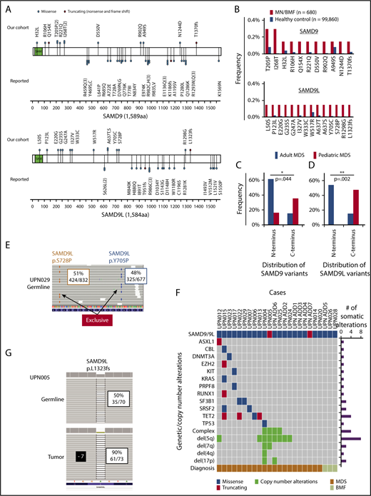 Figure 1. Characteristic of GL SAMD9/SAMD9L variants in adult MDS. (A) Positions and types of GL SAMD9 and SAMD9L variants detected in adult patients with MDS and BMF (above the 2 genes). Reported SAMD9 and SAMD9L variants in familial pediatric MDS and BMFs are also depicted (below the 2 genes). Functional sterile α motif (SAM) is shown in green. (B) Frequencies of specific SAMD9 and SAMD9L GL variants in our cohort and ethnically matched healthy controls. Distribution of GL SAMD9 (C) and SAMD9L (D) variants between adult and pediatric MDS. Three genetic regions (N terminus, enter, and C terminus) were defined with equal number of base pairs and compared with each other. P values were calculated by Fisher’s exact test. (E) Biallelic GL variants of SAMD9L. Representative view of 2 independent GL SAMD9L variants (Tyr705Pro, Ser728Pro) in a patient (UPN029). Variant allele frequencies and counts of sequence reads in GL samples (CD3 positive lymphocyte) are shown in boxes. (F) Landscape of somatic mutations and CNAs in adult MDS patients with GL SAMD9/SAMD9L variants. Type of mutations, cytogenetics, and diagnosis, together with the number of somatic mutations/CNAs, are color coded as indicated. (G) A patient (UPN005) with a GL frameshift SAMD9L variant (Leu1323fs) and −7 simultaneously. Variant allele frequencies and counts of sequence reads in GL (CD3 positive lymphocyte) and tumor (bone marrow) are shown in boxes.