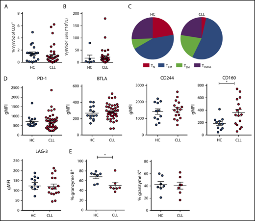 Figure 2. Frequency and immune phenotype of Vγ9Vδ2-T cells in CLL patients and HCs. Immunophenotyping of Vγ9Vδ2-T cells from untreated CLL patients and age-matched HCs, directly ex vivo. (A) Frequency of Vγ9+Vδ2+ cells within CD3+ T lymphocytes (CLL, n = 39; HC, n = 20). (B) Absolute number of Vγ9Vδ2-T cells (CLL, n = 39; HC, n = 6). (C) Distribution of differentiation subsets within Vγ9Vδ2-T cells based on CD27 and CD45RA expression (CLL, n = 39; HC, n = 20). (D) Expression of exhaustion markers on Vγ9Vδ2-T cells. Geometric mean fluorescence intensity (gMFI) of PD-1 and BTLA expression (CLL, n = 39; HC, n = 20) and CD244, CD160, and LAG-3 expression (CLL, n = 16; HC, n = 11). (E) Frequency of granzyme B+ and granzyme K+ cells within Vγ9Vδ2-T cells (CLL, n = 7; HC, n = 7). Data are mean and SEM. *P < .05, Student t test. TCM, CD27+CD45RA−; TEM, CD27−CD45RA−; TEMRA, CD27−CD45RA+; TN, CD27+CD45RA+.