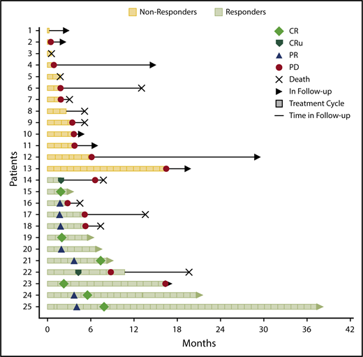 Figure 2. Swimmer’s plot showing clinical course, outcome events, and number of treatment cycles of each patient in the clinical trial. PD, progressive disease.