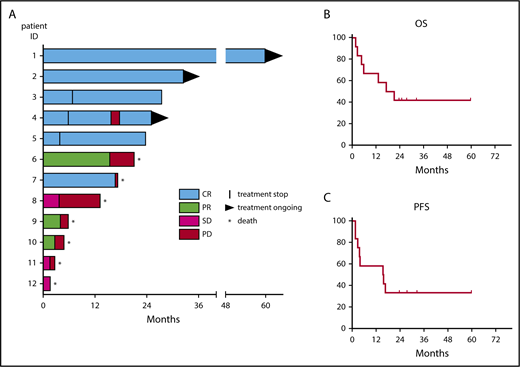 Figure 1. Patient outcomes after 5-azacytidine treatment. (A) Best response and duration of response are shown on the swimmer plot. Blue indicates a complete response, green a partial response, violet stable disease (SD), and pink progressive disease (PD). Stars indicate deceased patients, arrows ongoing treatment, and vertical lines the cessation of treatment. (B) Kaplan-Meier curve showing overall survival. (C) Kaplan-Meier curve showing progression-free survival (PFS).